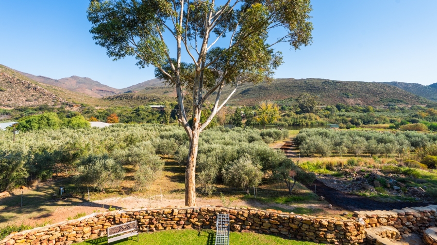 11 Bedroom Property for Sale in Robertson Western Cape